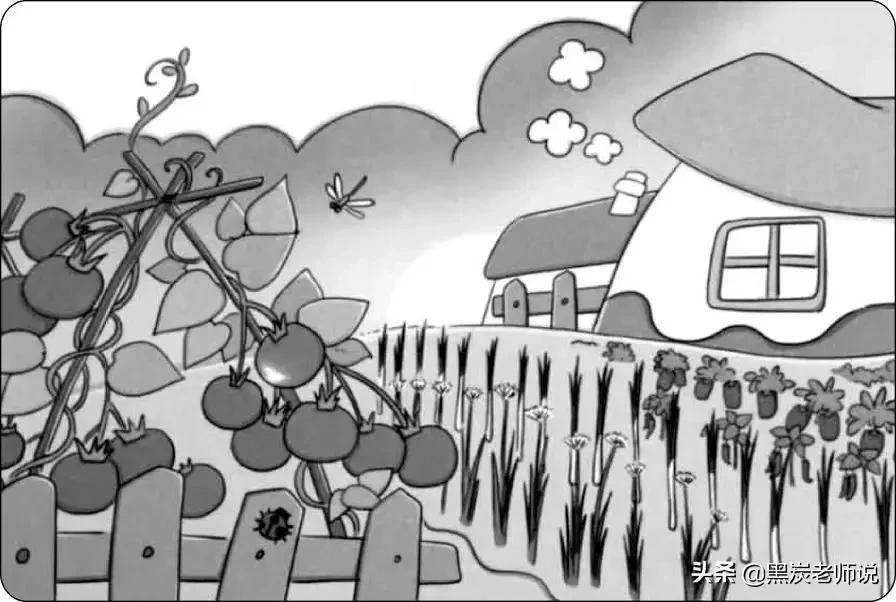 二年级期末常考看图写话与答案,二下语文分层卷第一单元看图写话