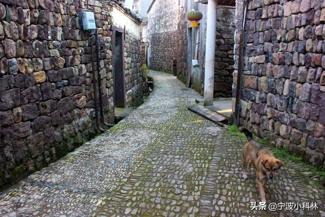 宁波李家坑住宿,宁波附近一日游古村最佳去处