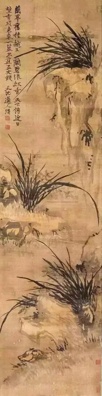 最漂亮的24尺写意兰花图片,最全历代名家兰花图看了还想再看