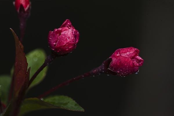 微信朋友圈里的9种人你是哪一种,微信朋友圈看人层次