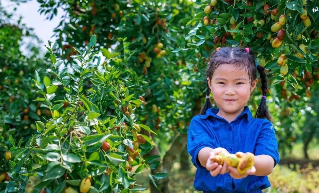 滁州琅琊区春季游,来滁州游琅琊山欣赏风景