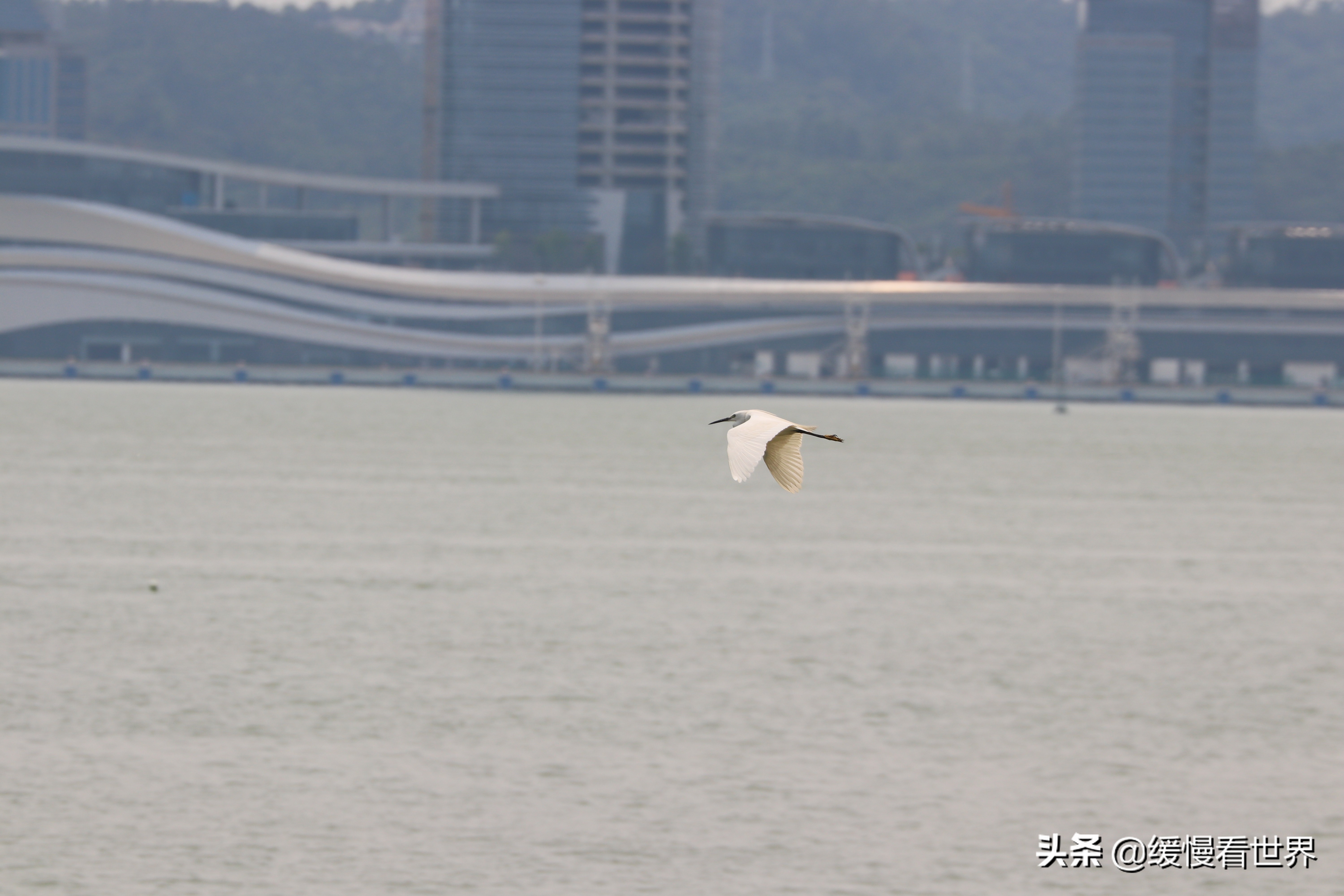 虎门威远炮台海战博物馆,虎门海战博物馆离威远炮台远吗