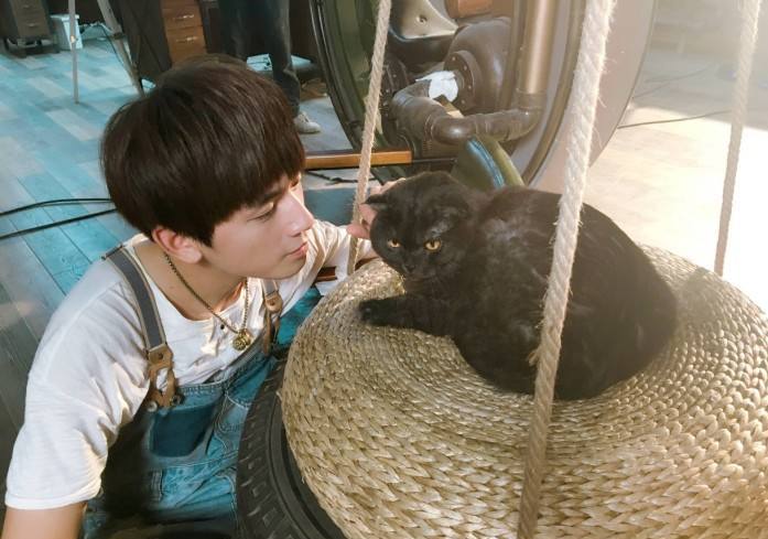 镇魂多久开播,镇魂开播的时间