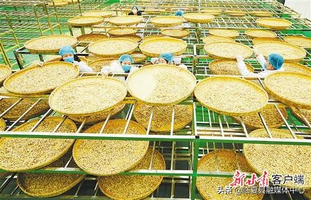 #疫情防控临夏在行动#【决战决胜脱贫攻坚】书写决战脱贫攻坚的春天答卷——肃全力推进脱贫攻坚任务落实纪实