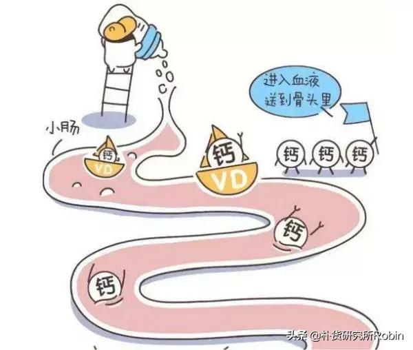 市面钙片质量,市面钙片很多我们应该怎么选择