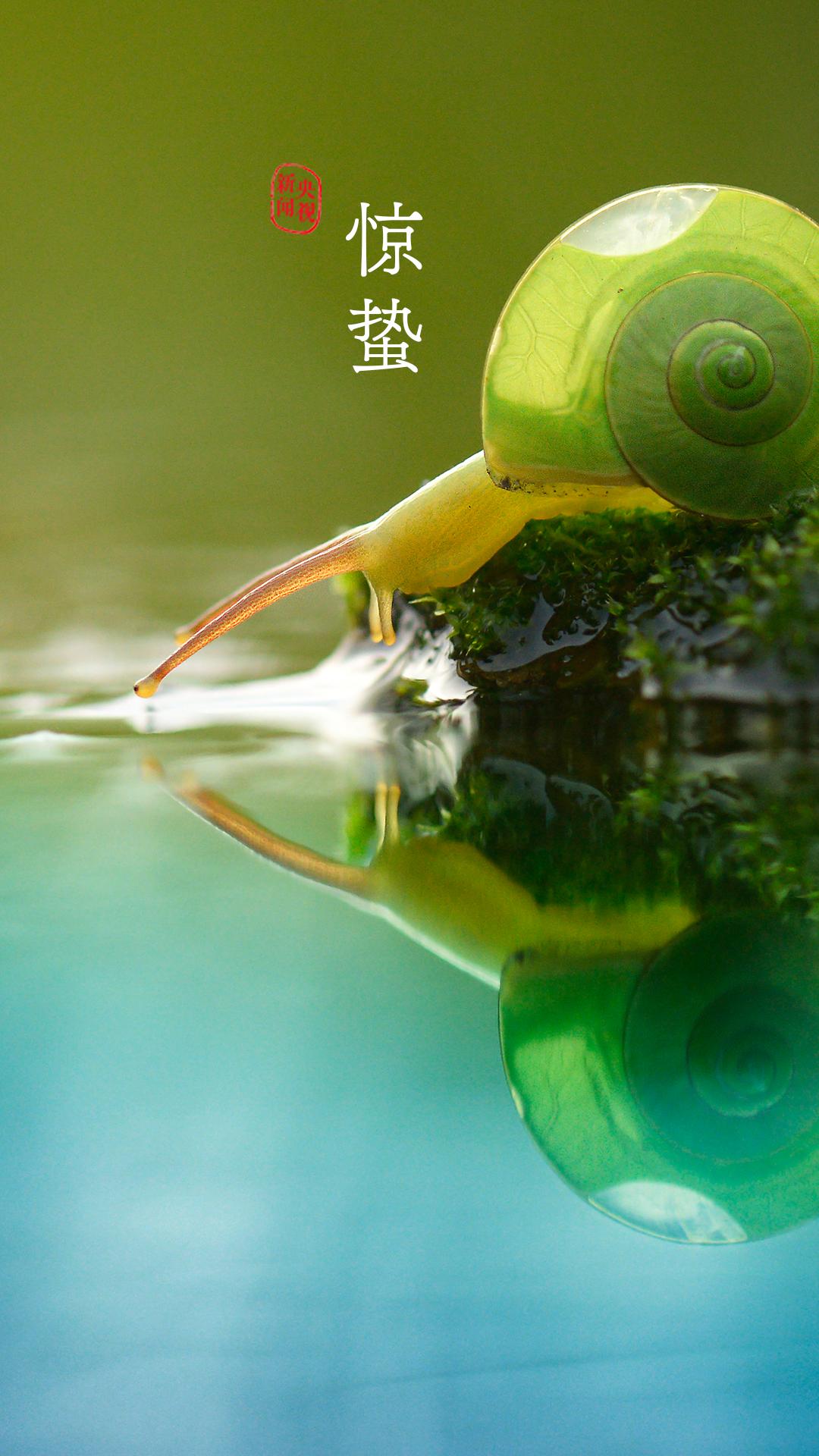 央视珍藏二十四节气手机壁纸,二十四节气壁纸手机超清全面屏