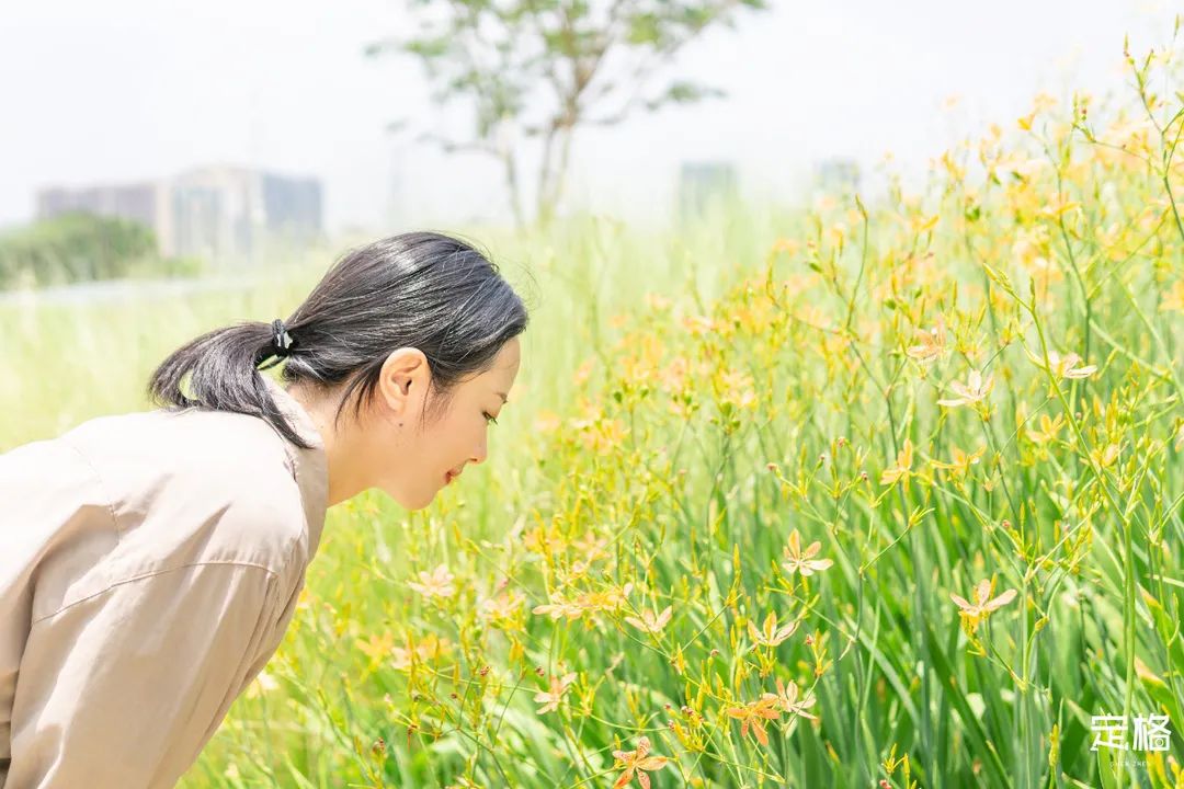 沙井万丰哪里的生蚝好吃,深圳沙井生蚝最出名店
