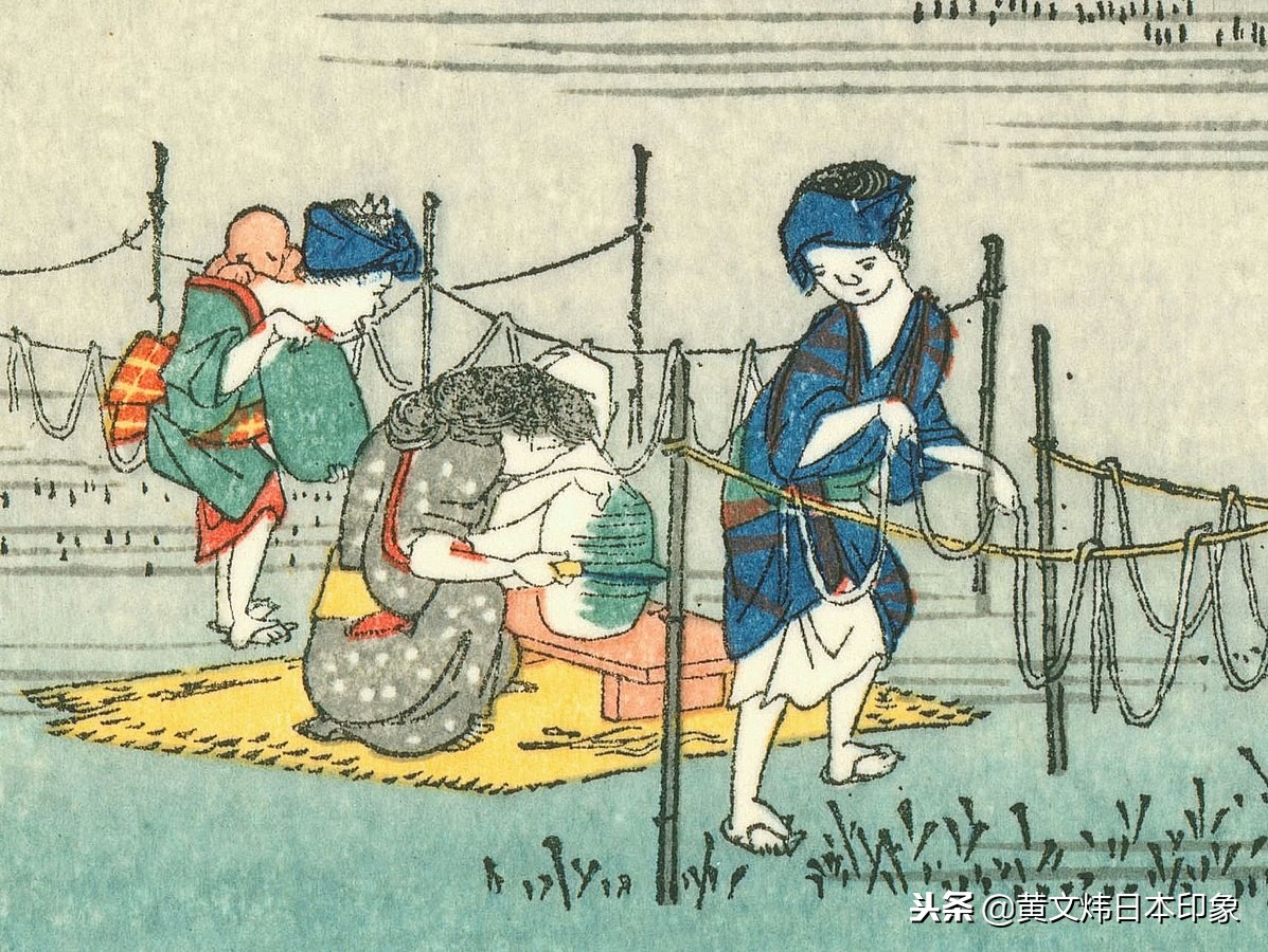 夕颜花语,夕颜花的花语是什么啊