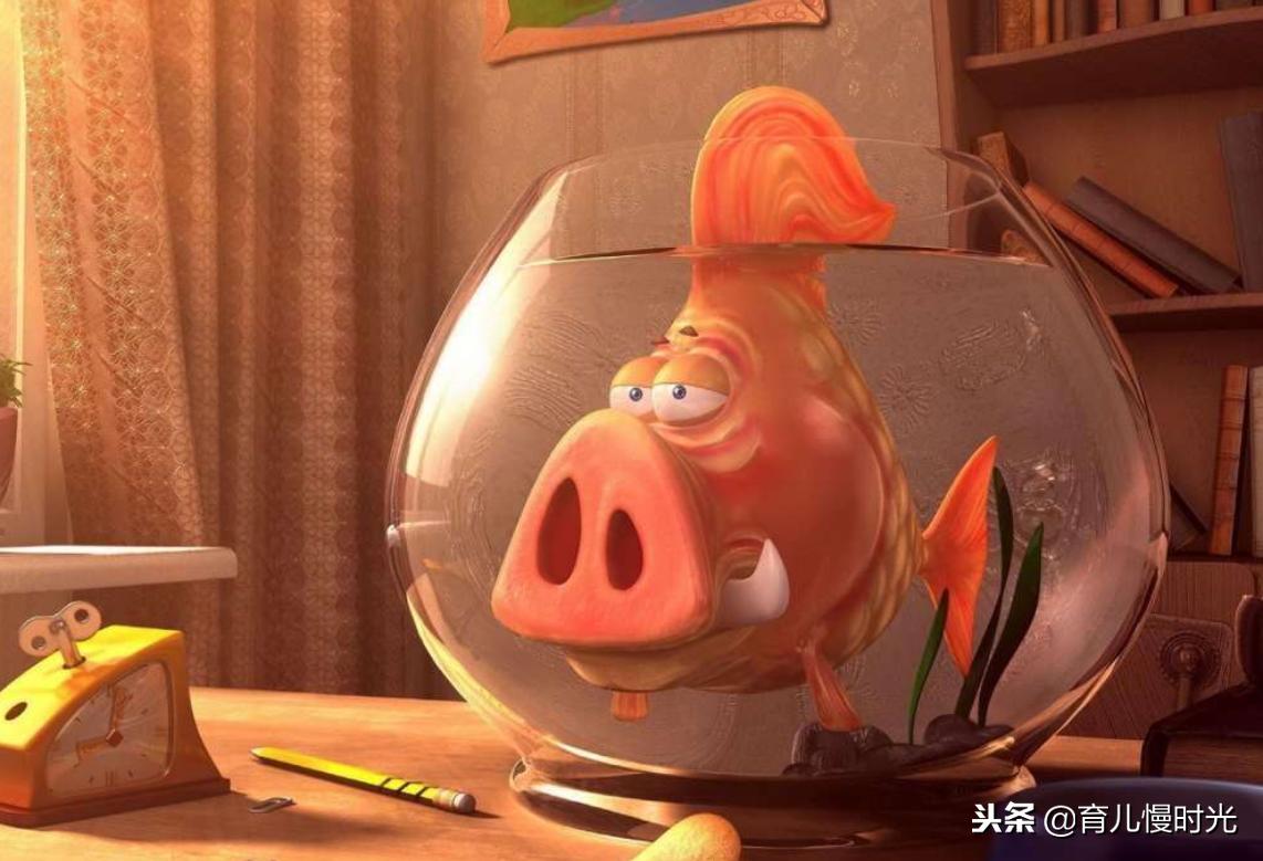 初期孕妇可以吃鱼吗,怀孕多吃鱼有什么危害