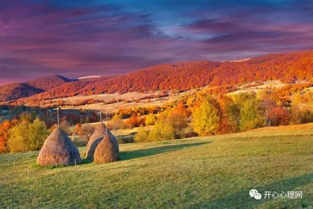 常见的有规律的事物,一些规律完整版