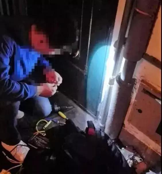 如何判断边境牧羊犬是笨是聪明,边境牧羊犬为什么不会攻击人