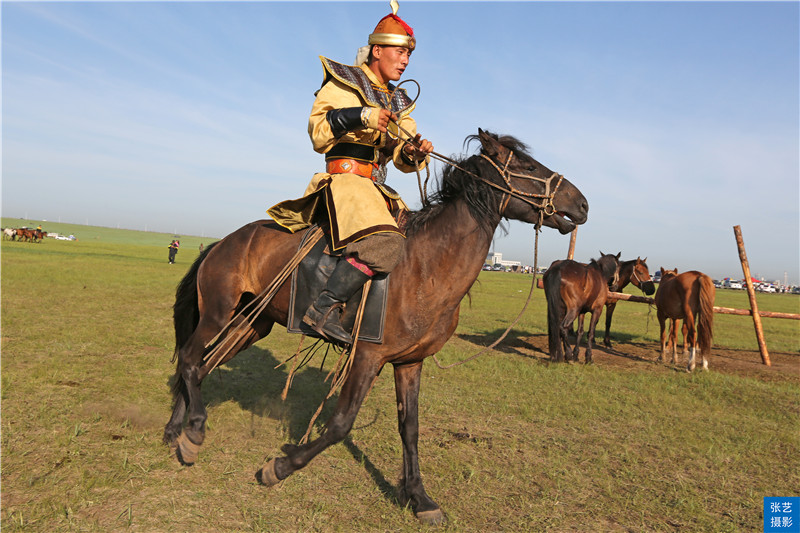 带你看美丽的呼伦贝尔大草原,呼伦贝尔大草原欣赏