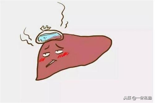 治肝八大法则,中医说肝有问题怎么治