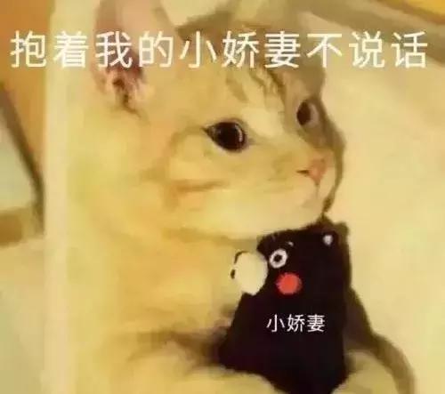 猫咪发情那些事，发情的猫咪都有什么表现呢？
