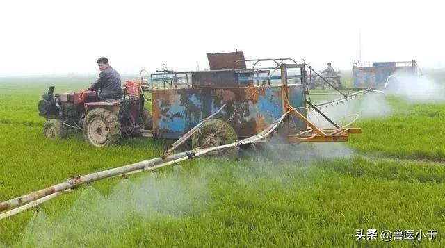 农村2023年致富项目小本生意,农村致富创业项目小本生意投资