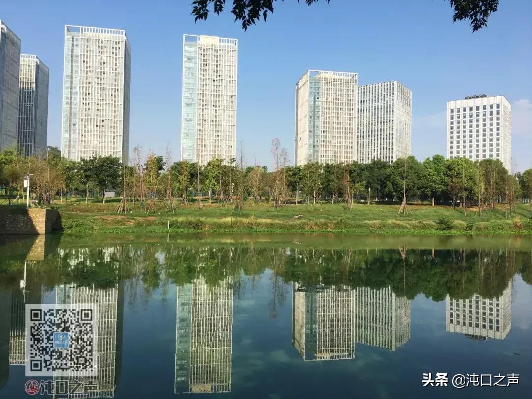 武汉卓尔足球公园,武汉王家墩足球公园