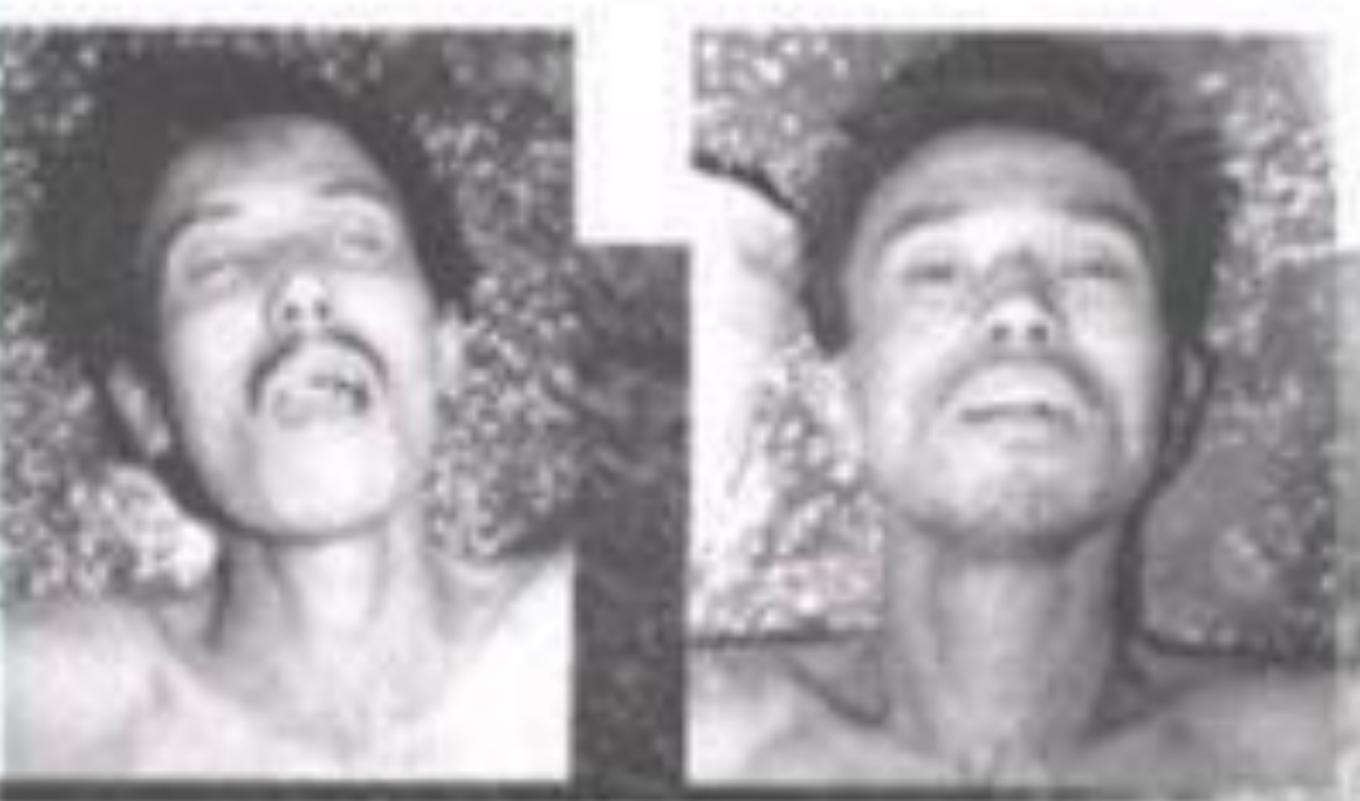 东北二王特大杀人案全集,东北二王杀人案详解