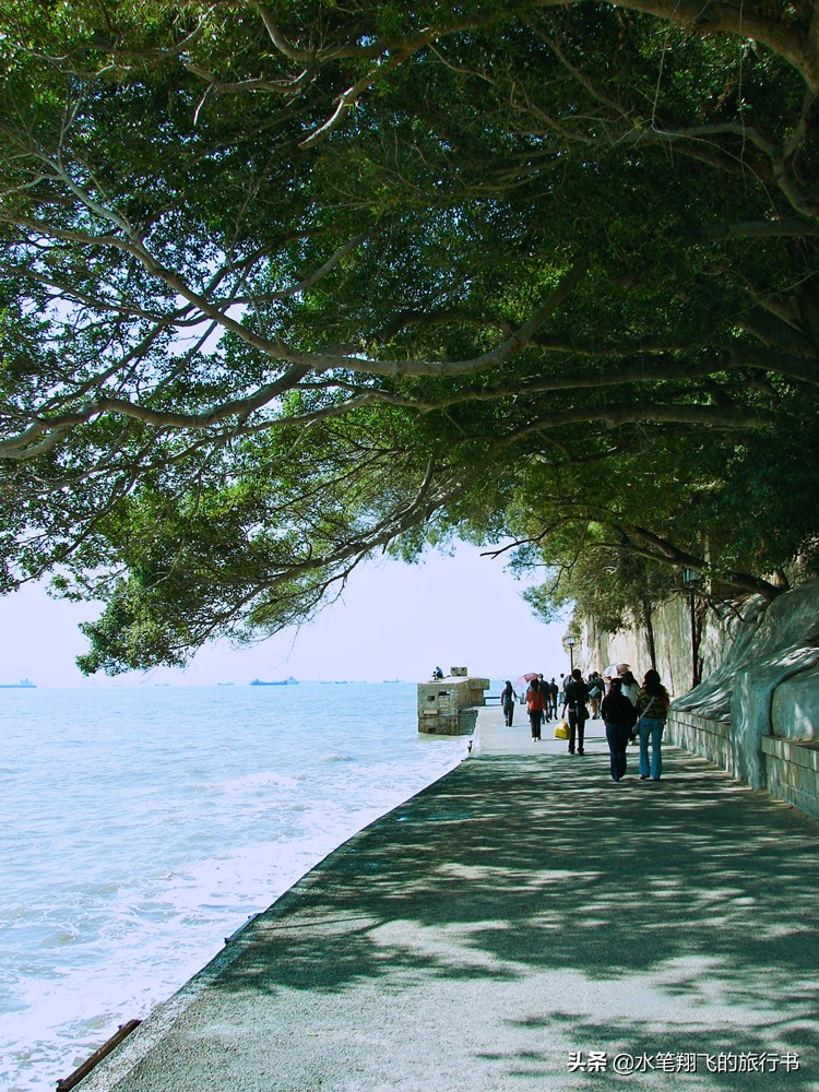 厦门有这样一个地方｜小和尚的邻居是大学生，古朴与摩登并存