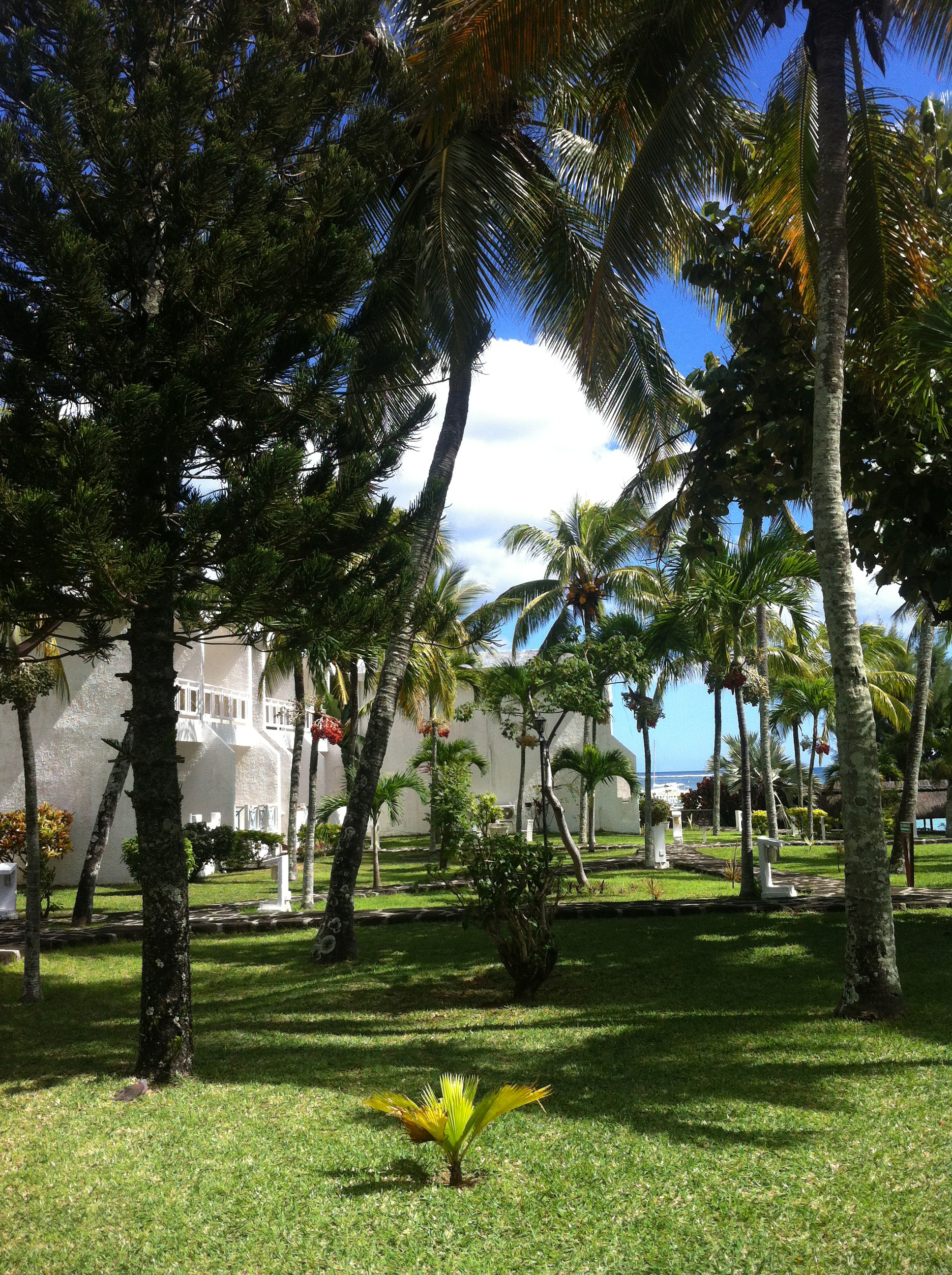 毛里求斯自由行怎么安排,毛里求斯7天攻略