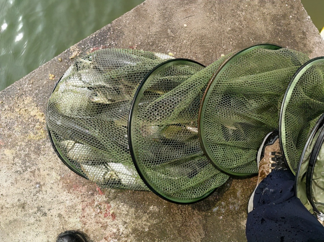 本汀金迦潘强硬弓测评,本汀金迦潘强弓鱼竿测评