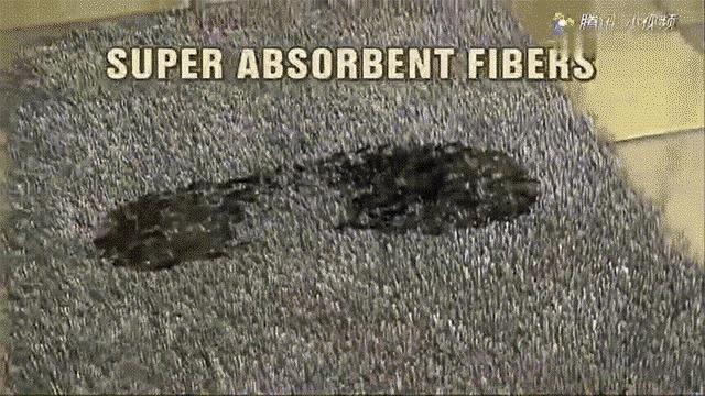 神奇的虎皮地毯,神奇宝贝的地毯