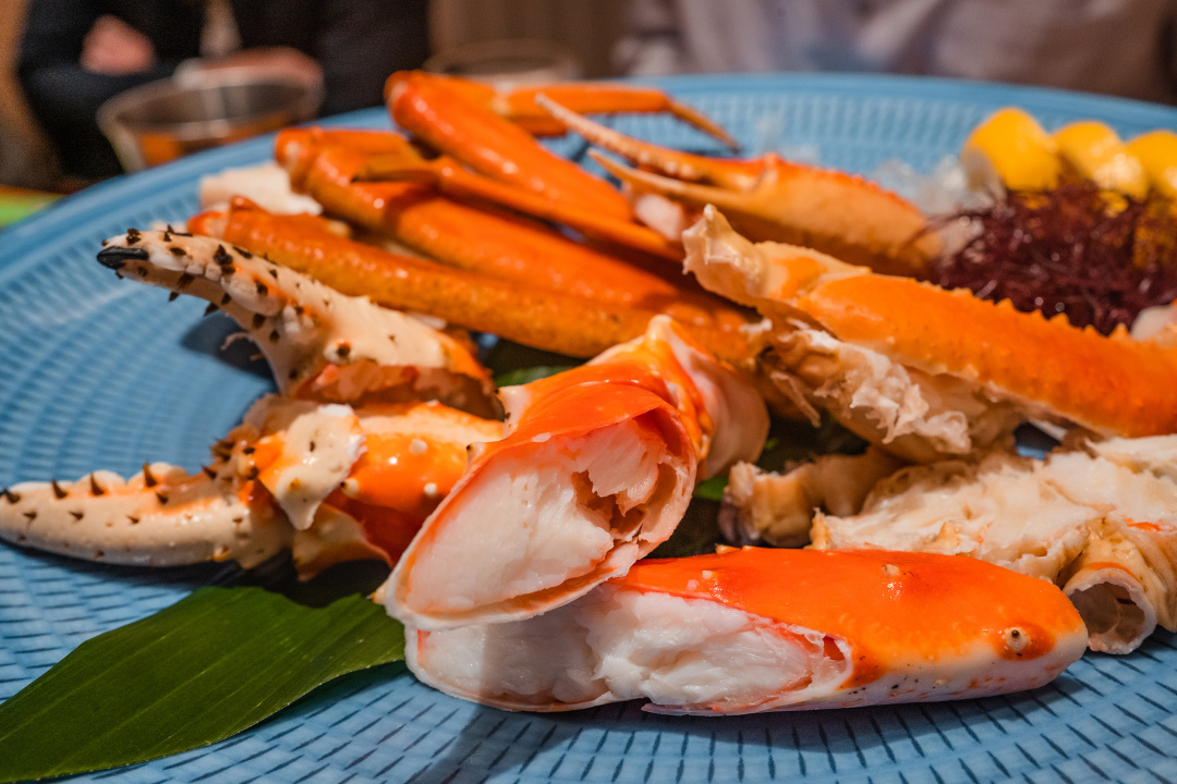 日本九州温泉城市,日本九州岛温泉