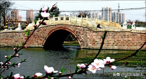 武汉杨春湖垃圾场会搬走吗,武汉北洋桥生态公园最新规划图