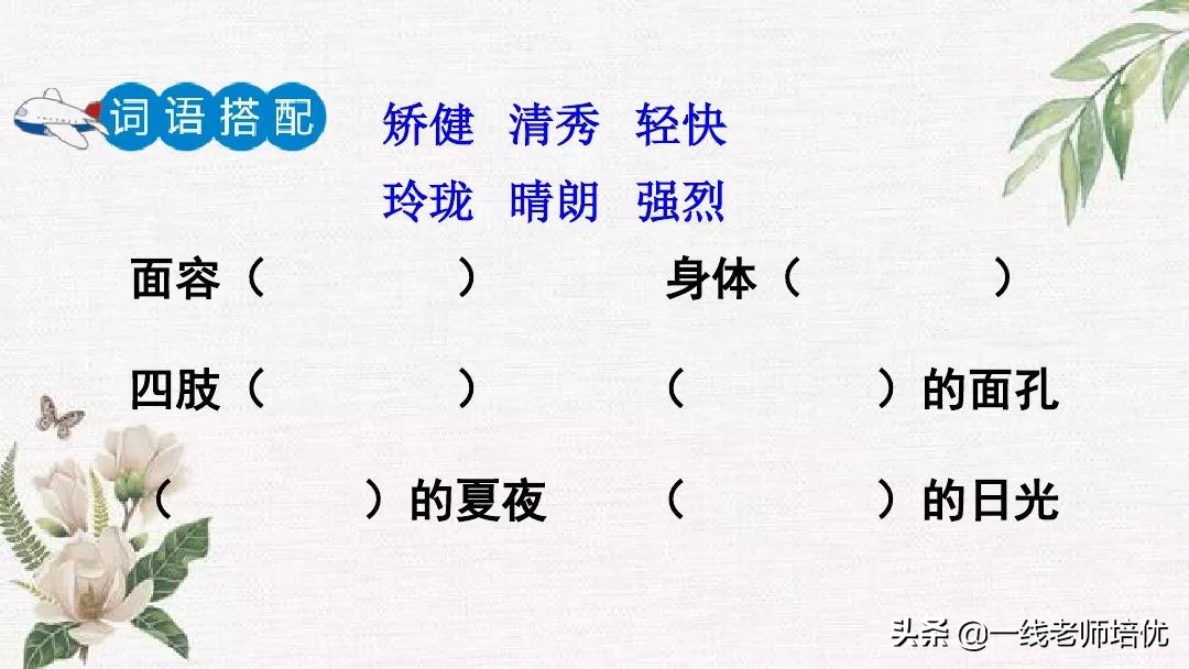 语文五年级上册第17课松鼠资料,部编版五年级上册第17课松鼠课件