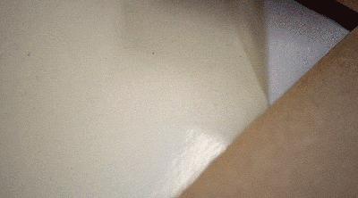 社创案例|变身环保塑料：小龙虾壳的“善终”