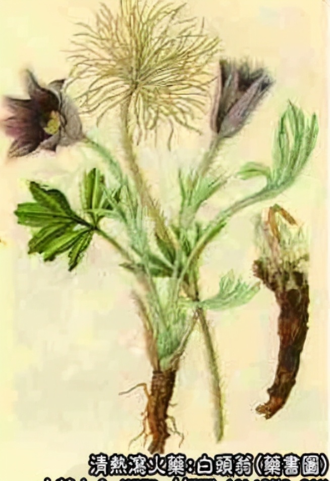 山脊上的小镇,山脊上的县城