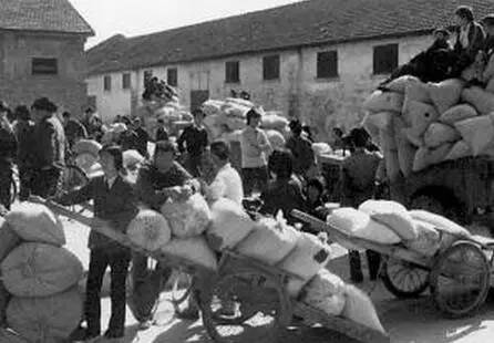 80年代场景农村交公粮,回忆从前农村交公粮