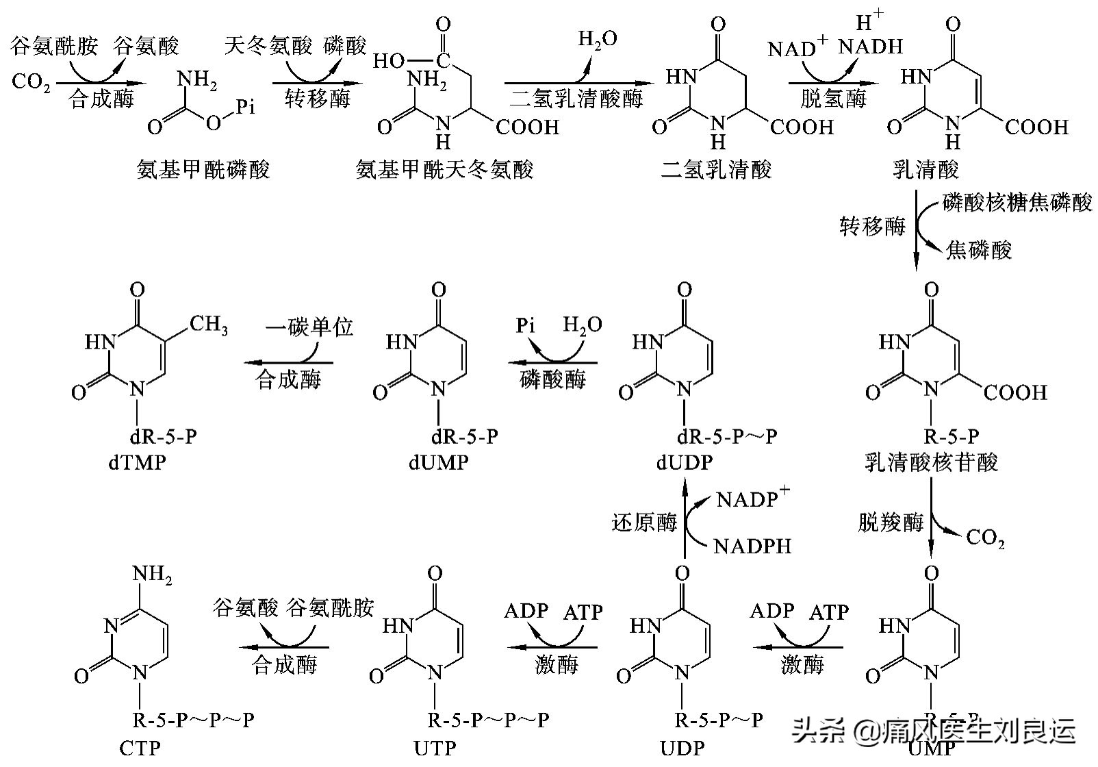 痛风是遗传因素大还是后天因素大,痛风是不是有遗传的因素呀