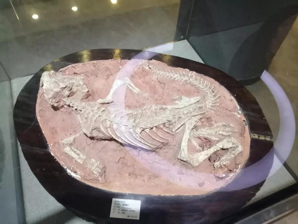 去天津蓟州旅游攻略,跟着书本去旅行蓟州