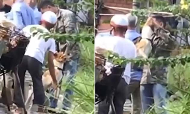 黑心狗贩子给狗灌水,黑心狗贩给狗狗强行灌2公斤水