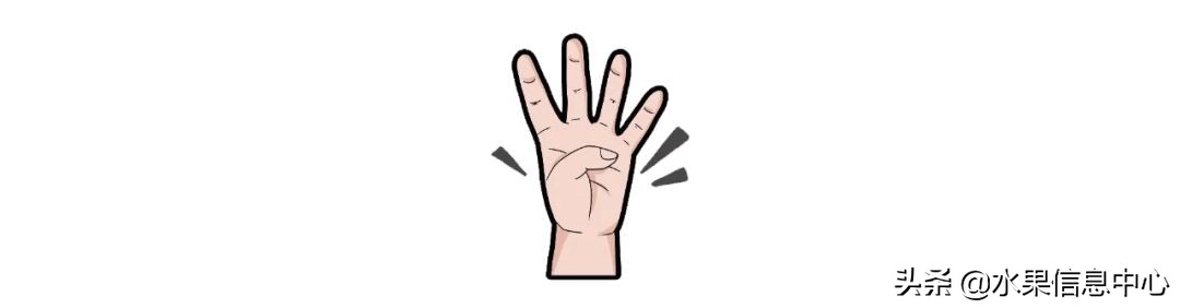 水果批发市场卖水果怎么收费,新手去水果批发市场的几大技巧