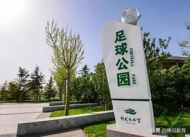 郑新黄河大桥2021年收费政策 (郑新黄河大桥2020年收费政策)