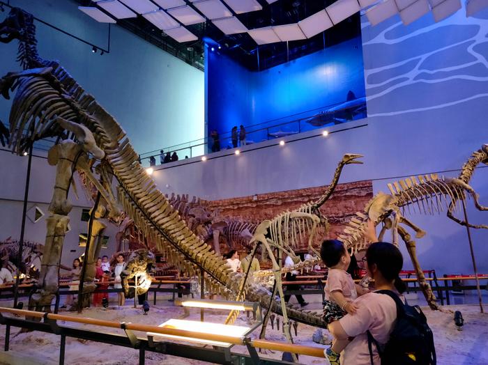 日照海洋公园闭园时间,海昌海洋公园开园闭园时间