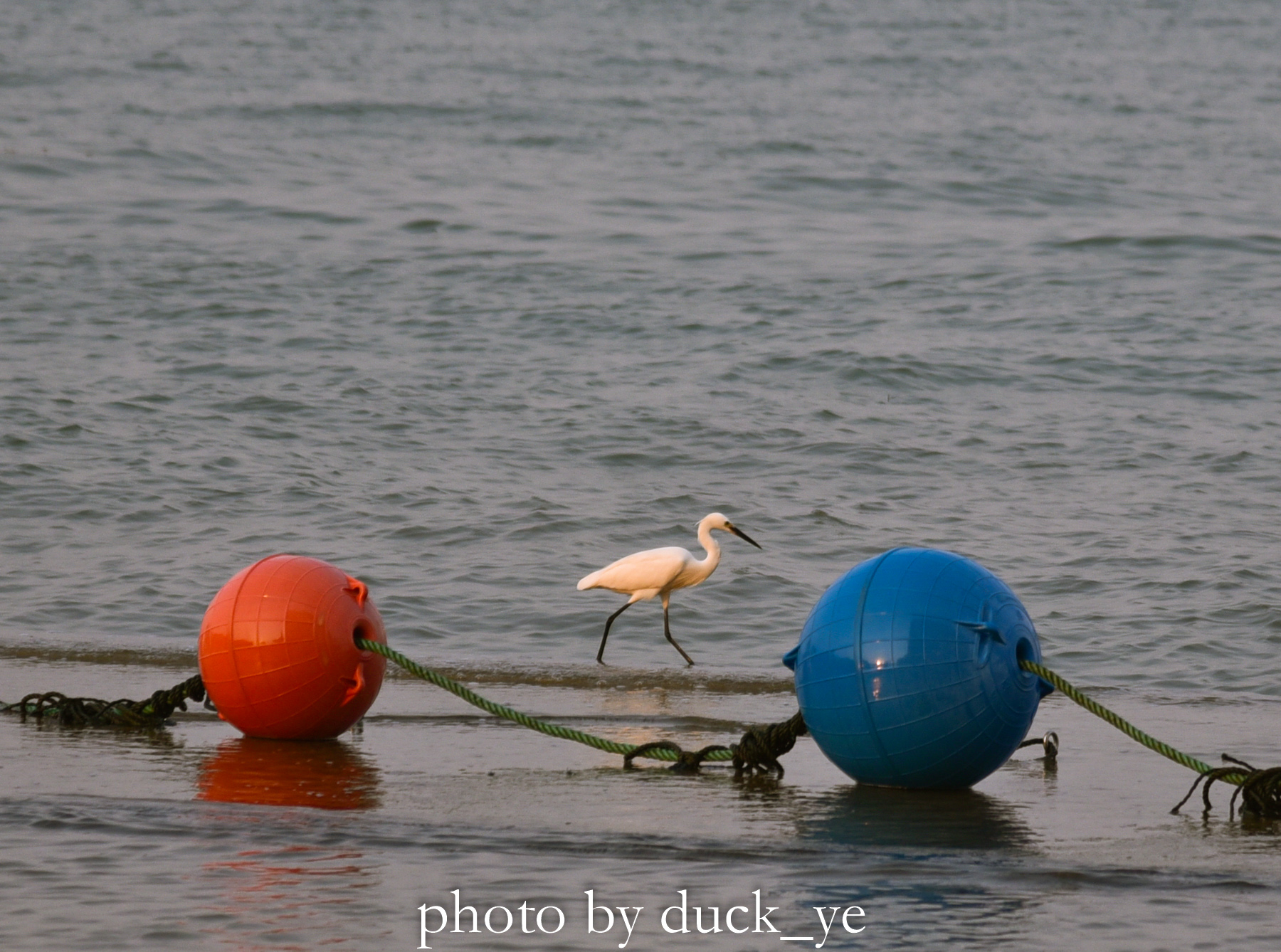 厦门哪个酒店适合玩海,厦门可以看到海的酒店