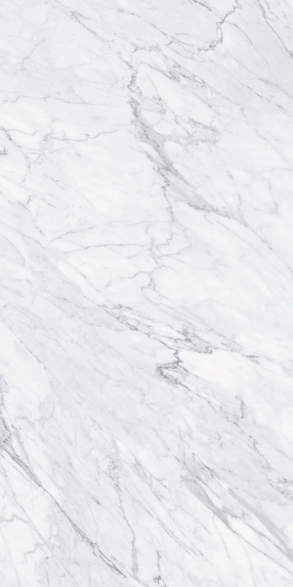 新品速递,新品速递最新图