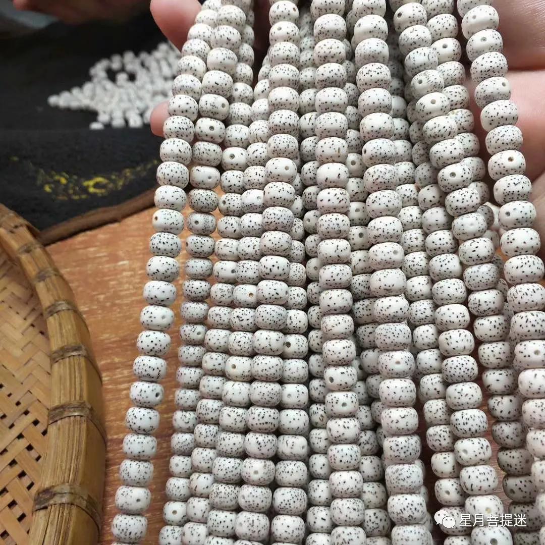 紫金鼠和星月菩提哪个更值得盘玩,星月菩提无相值得盘吗