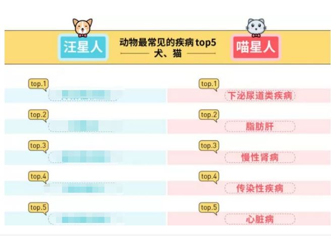 猫只喂火腿肠能活吗,猫因为脂肪肝导致完全不能进食