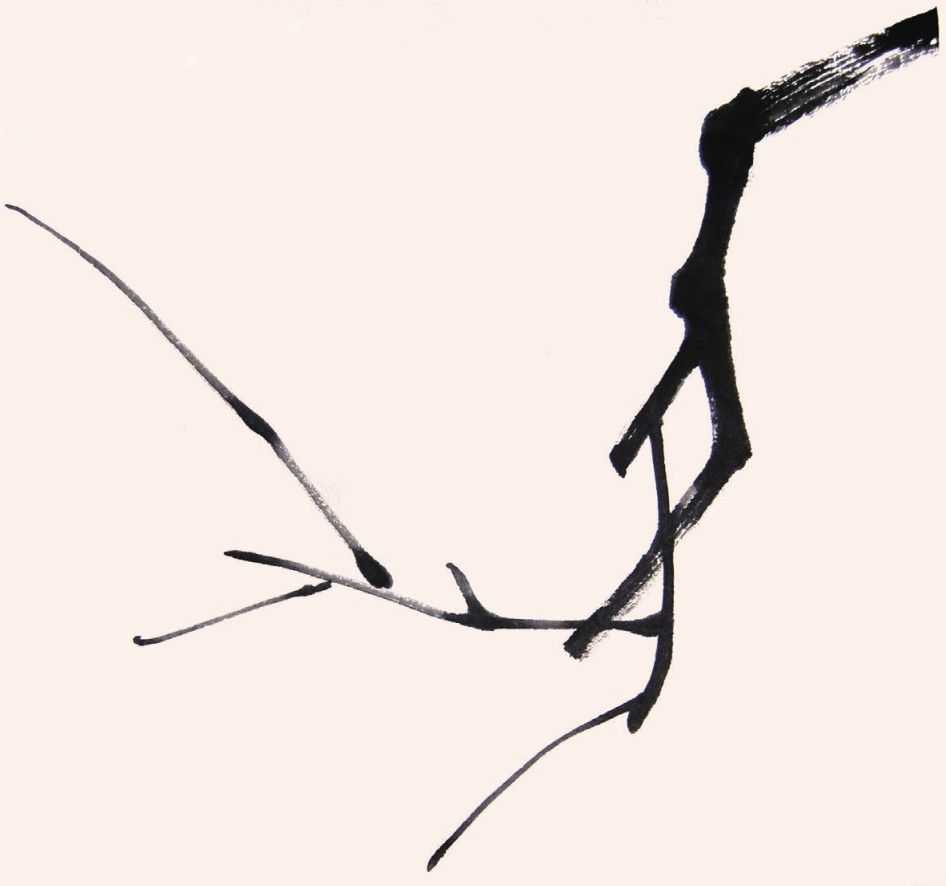 国画花枝穿插技巧图解,国画花枝的简单教程