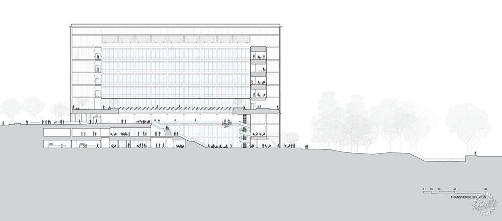 别人的教学楼，不仅用于学习，还是精致的艺术品
