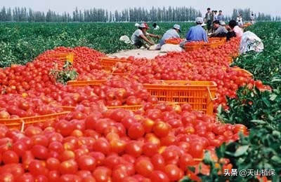 *疆新**库尔勒彻底火了！登上央视让世界瞩目，为库尔勒而骄傲