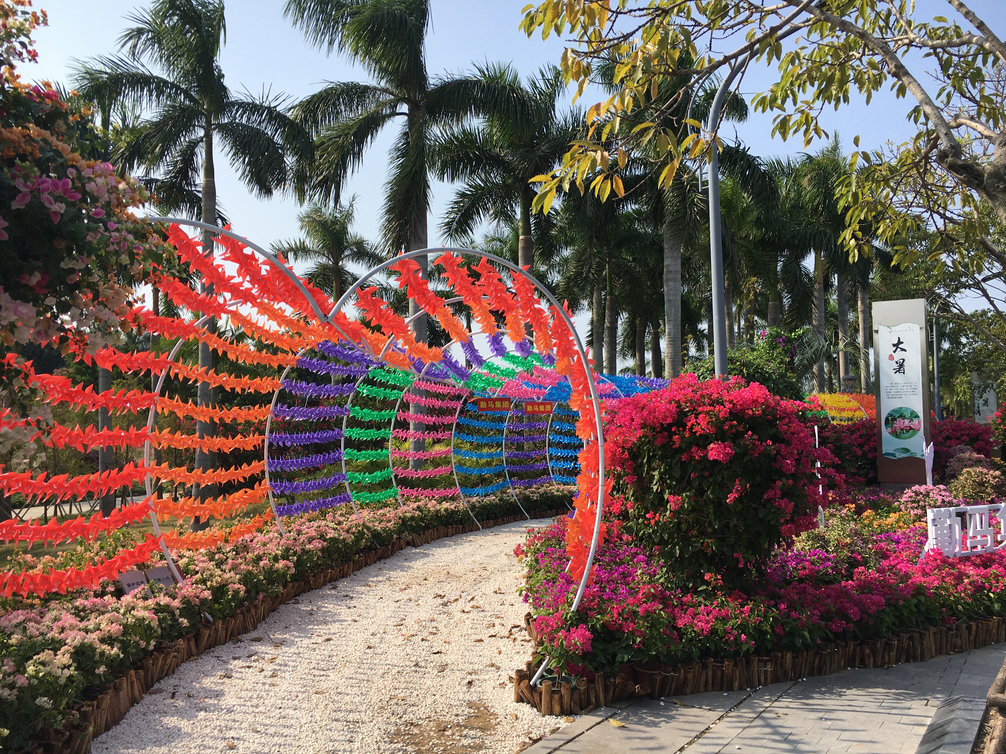 园博园旅行年卡 (旅游年卡 园博园)