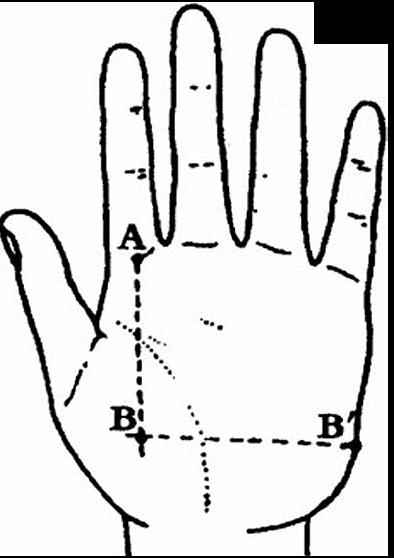 生命线寿命算法,生命线末端分叉呈鱼形状算命图解