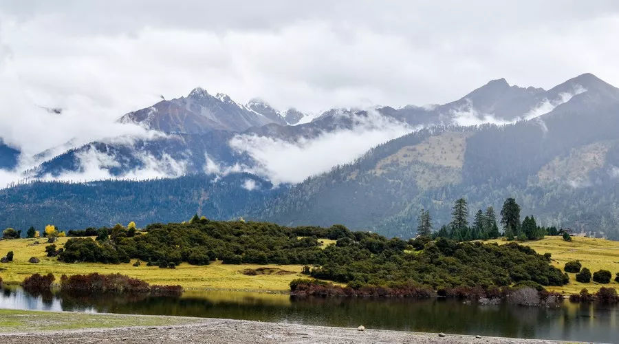 宋词300首经典诗词,一生必背100首经典唐诗宋词朗诵版