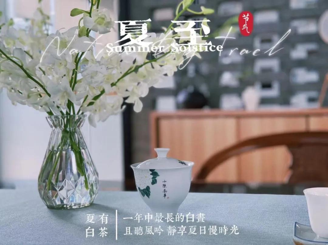 白茶的精髓就在三句话,白茶究竟是什么茶