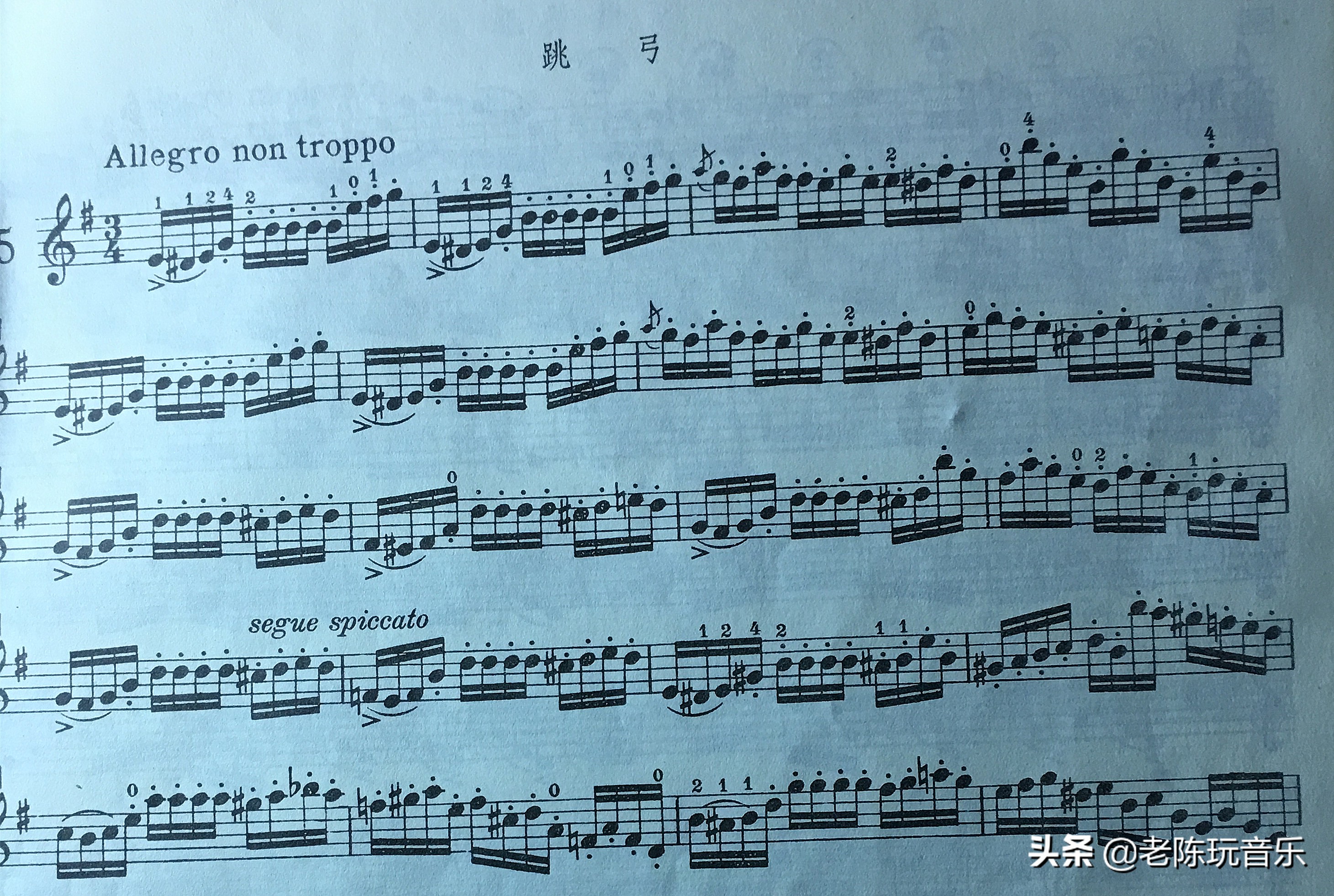 小提琴常用弓法大全让你看个够,舍夫契克小提琴弓法练习详解