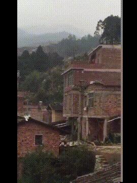 搞笑gif一看就是聪明人,搞笑gif趣图果然是亲生的笑死我了